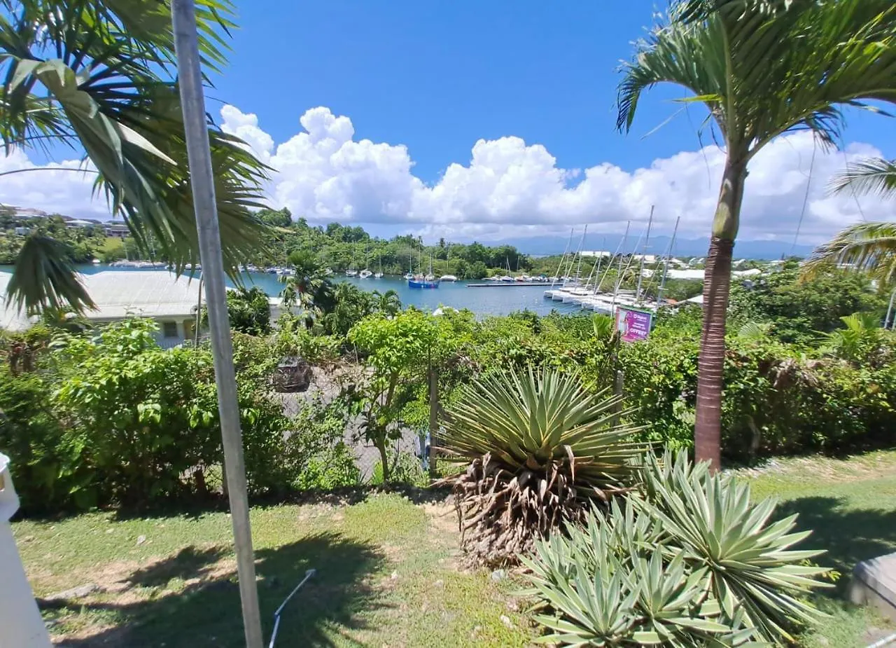 Studio Verdoyant A La Marina Du Gosier Le Gosier