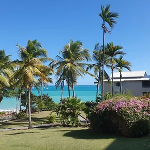 Grand De 41 M², Vue Et Jardin Tropical. Le Gosier (Grande-Terre)