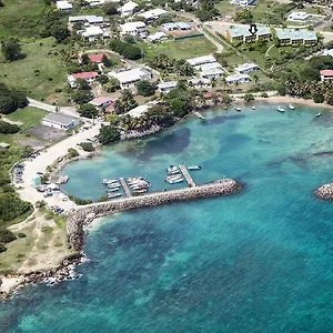 Palm Le Gosier (Grande-Terre)